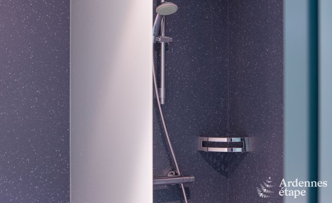 Luxusvilla Butgenbach (Heppenbach) 24 Pers. Ardennen Wellness Behinderten gerecht