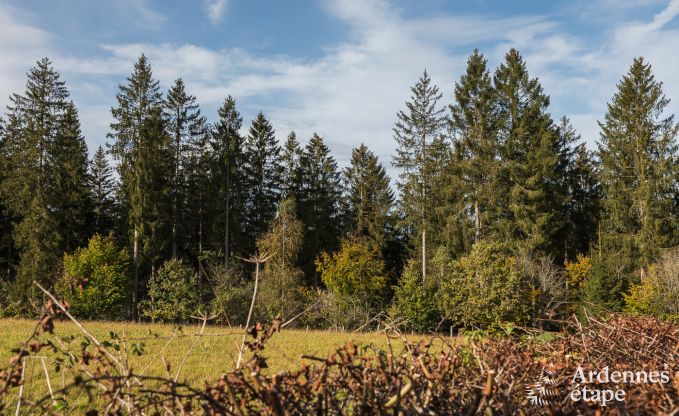 Chalet B�tgenbach 6 Pers. Ardennen Wellness