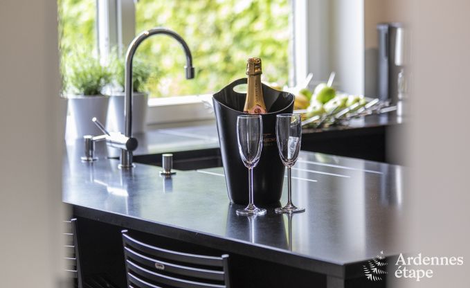 Ferienhaus Butgenbach 15 Pers. Ardennen Wellness