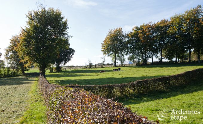 Ferienhaus Butgenbach 10 Pers. Ardennen Wellness