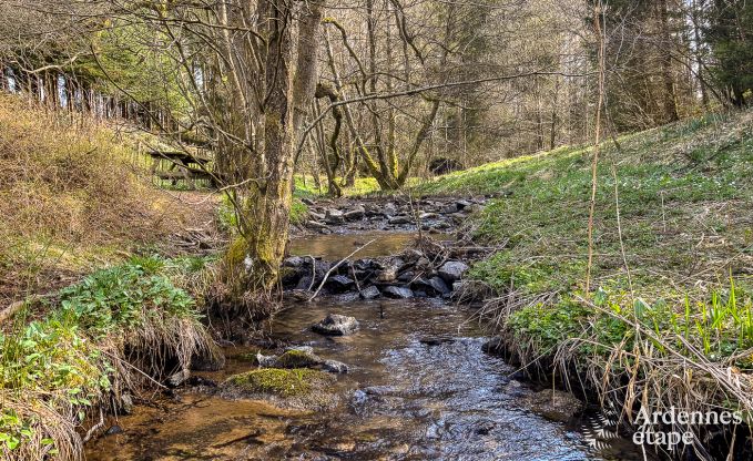 Ferienhaus Butgenbach 12 Pers. Ardennen Wellness Behinderten gerecht