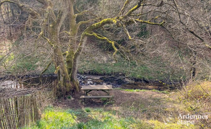Ferienhaus Butgenbach 12 Pers. Ardennen Wellness Behinderten gerecht