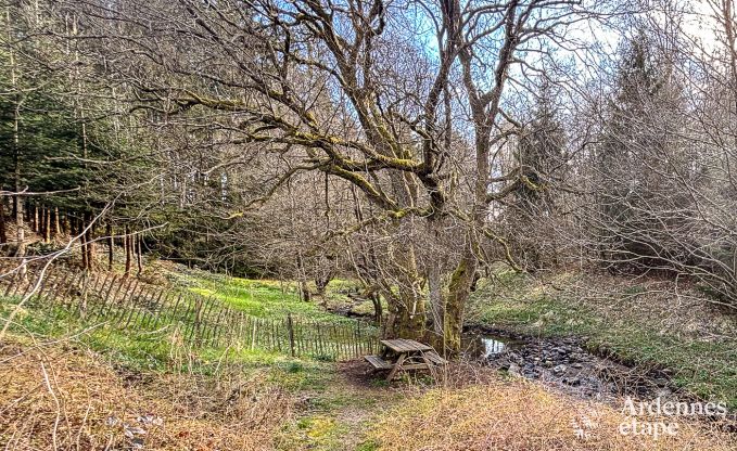 Ferienhaus Butgenbach 12 Pers. Ardennen Wellness Behinderten gerecht