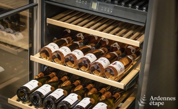 Auergewhnliche Ferienvilla fr 16 Personen mit Hallenbad in den Hohen Venn