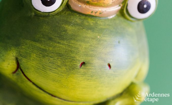 Wohnung Butgenbach 4 Pers. Ardennen