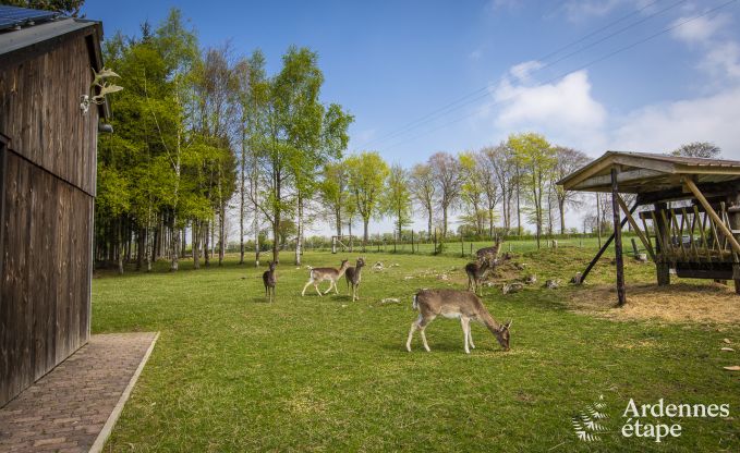 Wohnung Butgenbach 4 Pers. Ardennen