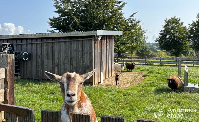Gerumige Ferienwohnung fr 12 Personen mit 5 Schlafzimmern und gemeinsamem Privatgarten und Wellness in Butgenbach