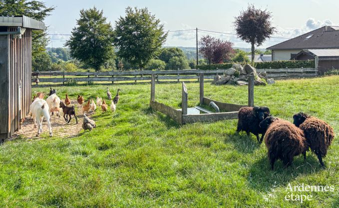 Gerumige Ferienwohnung fr 12 Personen mit 5 Schlafzimmern und gemeinsamem Privatgarten und Wellness in Butgenbach