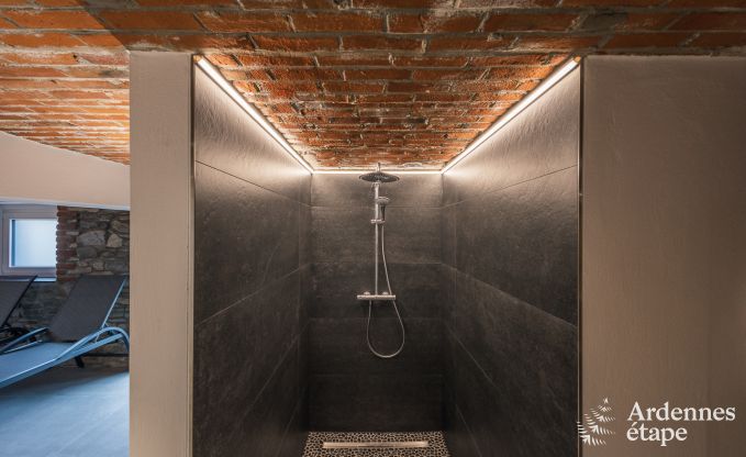 Luxus-Loft Butgenbach 4 Pers. Ardennen Wellness