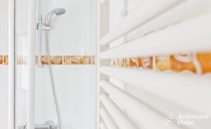 Luxusvilla Btgenbach 26 Pers. Ardennen Schwimmbad Wellness