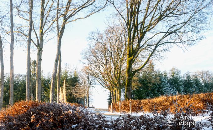 Luxusvilla Butgenbach 28 Pers. Ardennen Schwimmbad Wellness Behinderten gerecht