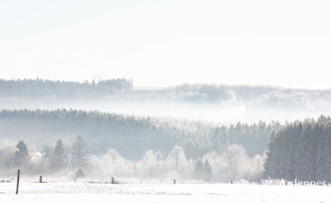 Luxusvilla Butgenbach 28 Pers. Ardennen Schwimmbad Wellness Behinderten gerecht
