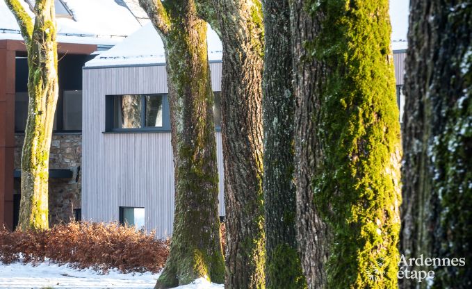 Luxusvilla Butgenbach 28 Pers. Ardennen Schwimmbad Wellness Behinderten gerecht