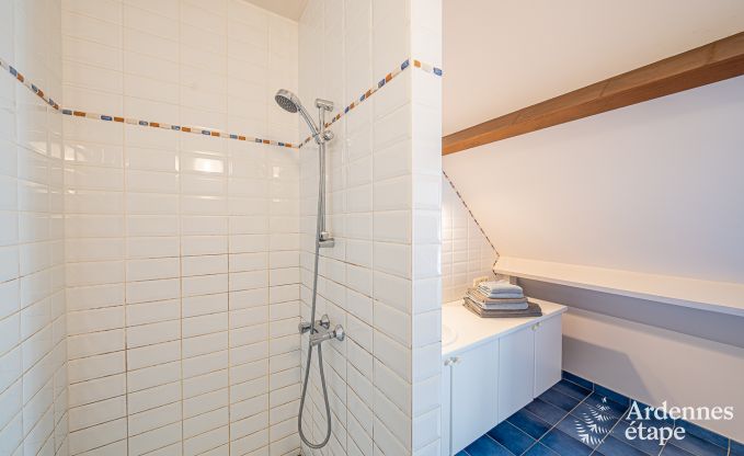 Ferienhaus Cerfontaine 12/14 Pers. Ardennen