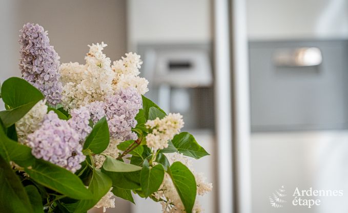 Ferienhaus Cerfontaine 12/14 Pers. Ardennen