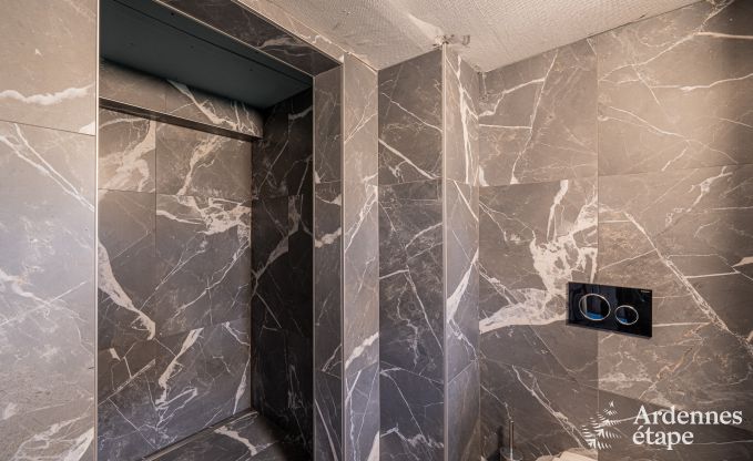 Luxusvilla in Cerfontaine: perfekt f�r 14 Personen, mit Innen- und Au�enpool, in der N�he der Lacs de l'Eau d'Heure