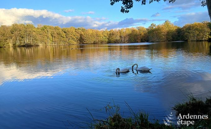 Ger�umiges Ferienhaus in Charleville f�r 15 Personen mit 7 Schlafzimmern, Sauna, Holzofen und privater Terrasse am Wasser