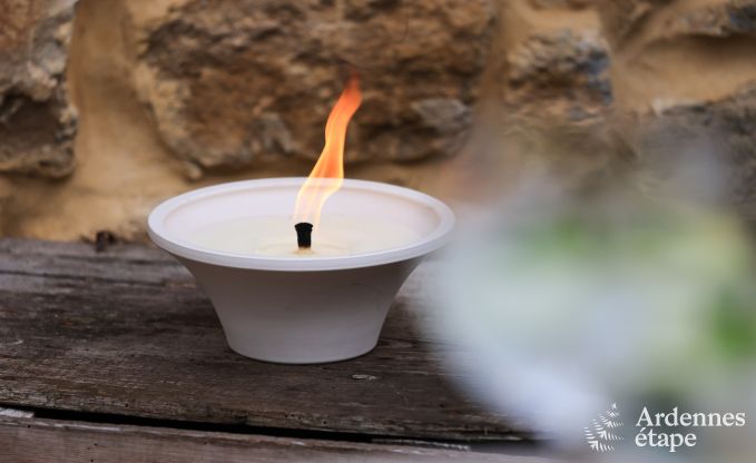 Ferienhaus Chassepierre 4/6 Pers. Ardennen Wellness