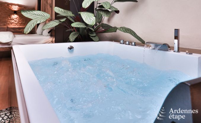 Ferienhaus Chassepierre 4/6 Pers. Ardennen Wellness