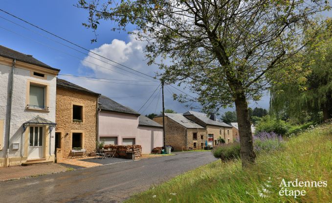 Ferienhaus Chassepierre 4/6 Pers. Ardennen Wellness