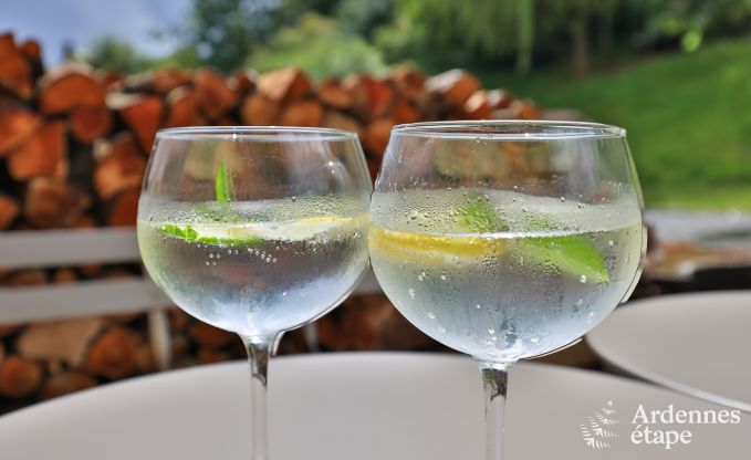 Ferienhaus Chassepierre 4/6 Pers. Ardennen Wellness