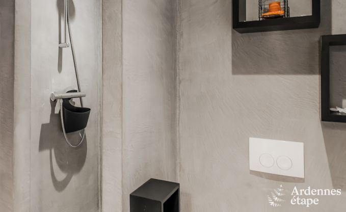 Ferienhaus Chassepierre 50 Pers. Ardennen Schwimmbad Wellness