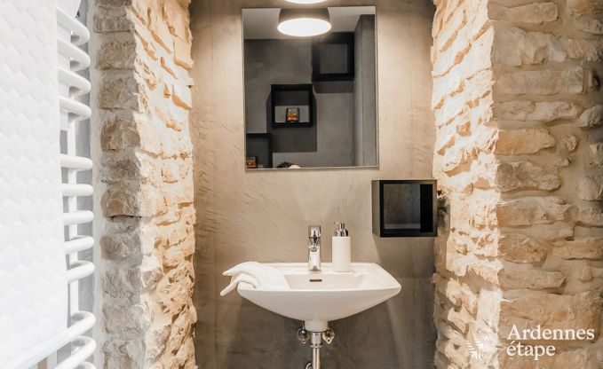 Ferienhaus Chassepierre 50 Pers. Ardennen Schwimmbad Wellness