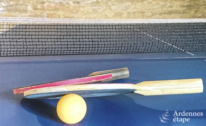 Ferienhaus Chassepierre 50 Pers. Ardennen Schwimmbad Wellness