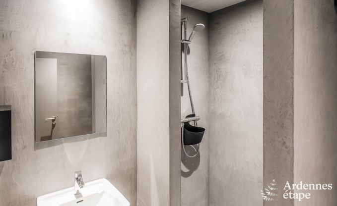 Ferienhaus Chassepierre 50 Pers. Ardennen Schwimmbad Wellness