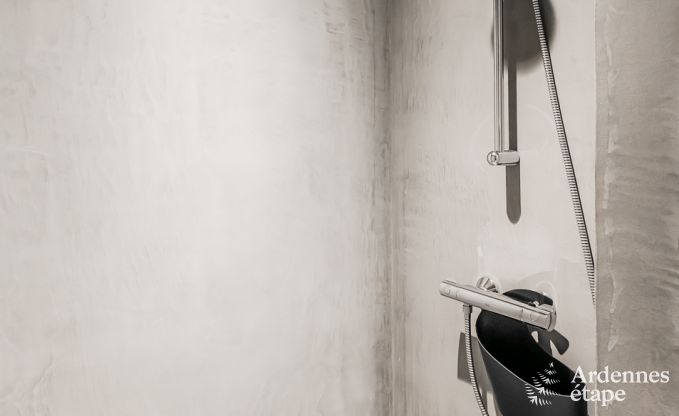 Ferienhaus Chassepierre 50 Pers. Ardennen Schwimmbad Wellness