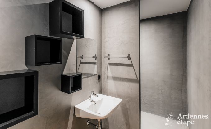 Ferienhaus Chassepierre 50 Pers. Ardennen Schwimmbad Wellness