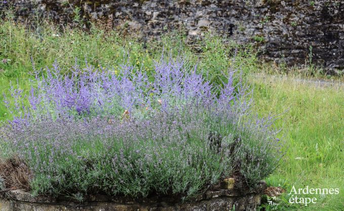 Ferienhaus Chassepierre 4/6 Pers. Ardennen Wellness