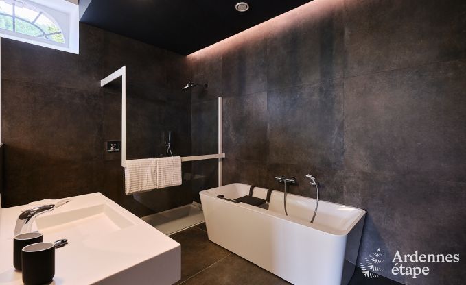 Gerumiges Loft fr 24 Personen in Chaudfontaine mit 10 Schlafzimmern, Wellness mit Sauna und Jacuzzi und Privatterrasse