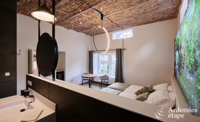 Ger�umiges Loft f�r 24 Personen in Chaudfontaine mit 10 Schlafzimmern, Wellness mit Sauna und Jacuzzi und Privatterrasse