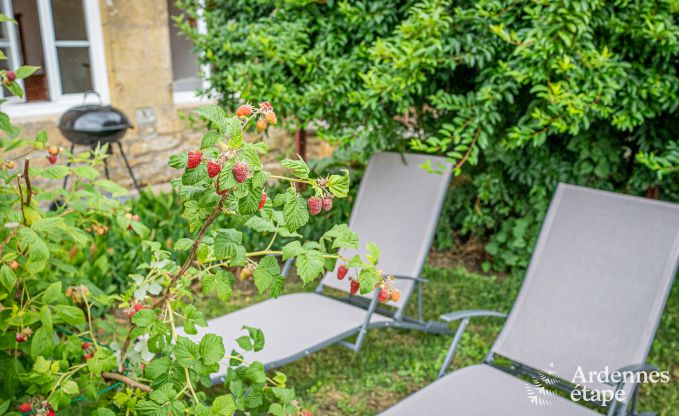 Ferienhaus Chauvency-Saint-Hubert 6 Pers. Ardennen