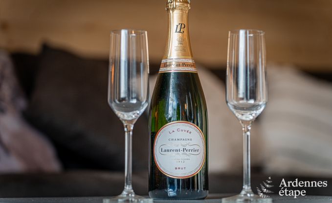 Charmantes Chalet f�r 5 am Ufer der Semois in Chiny, Gaume