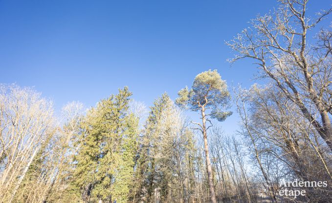 Ferienhaus Ciergnon 4 Pers. Ardennen