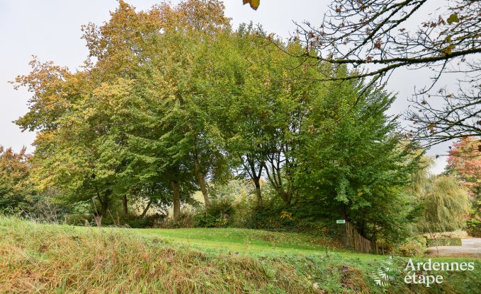 Ferienhaus Ciney 6 Pers. Ardennen