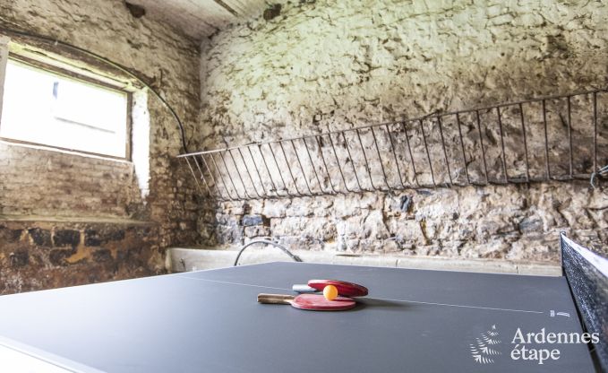 Ferienhaus Ciney 12 Pers. Ardennen