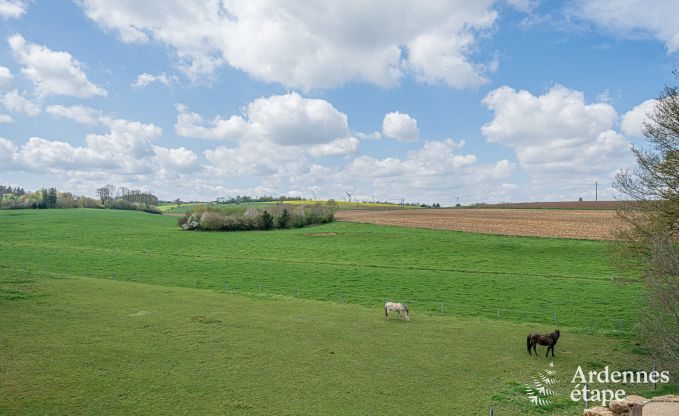 Luxusferienhaus in Ciney: Haus fr 8 Personen mit Innenpool, Sauna und Privatgarten
