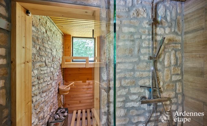 Luxuri�ses Ferienhaus f�r 4 Personen mit Schwimmbad, Sauna und Whirlpool in Ciney