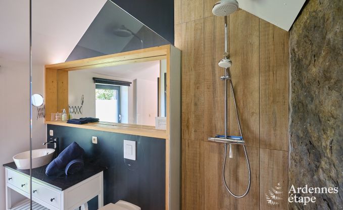 Luxuri�ses Ferienhaus f�r 4 Personen mit Schwimmbad, Sauna und Whirlpool in Ciney