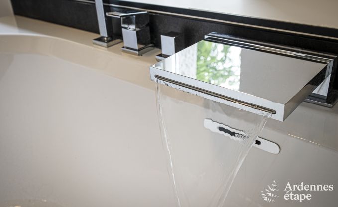 Luxusvilla Ciney 10 Pers. Ardennen Wellness