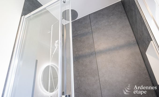 Luxusvilla Ciney 10 Pers. Ardennen Wellness