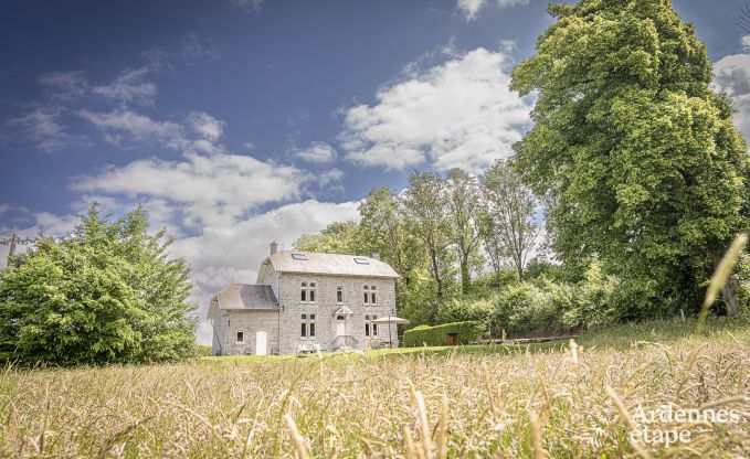 Luxusvilla Ciney 10 Pers. Ardennen Wellness