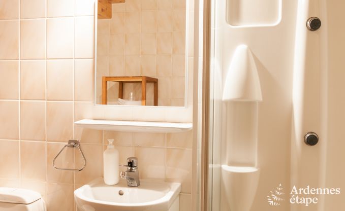 Schloss Ciney 31 Pers. Ardennen Wellness Behinderten gerecht