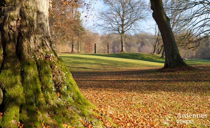 Schloss Ciney 31 Pers. Ardennen Wellness Behinderten gerecht