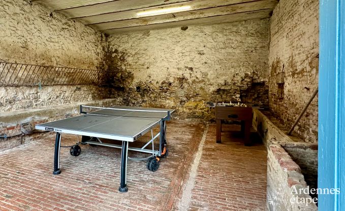 Ferienhaus Ciney 12 Pers. Ardennen