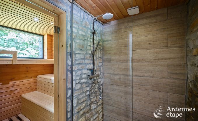 Luxuri�ses Ferienhaus f�r 4 Personen mit Schwimmbad, Sauna und Whirlpool in Ciney