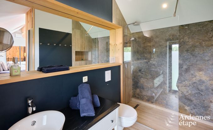 Luxuri�ses Ferienhaus f�r 4 Personen mit Schwimmbad, Sauna und Whirlpool in Ciney